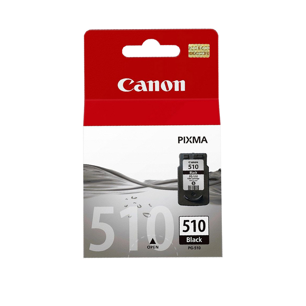 Cartouche d'encre Canon 510 noir