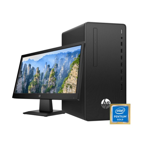 Desktop HP 290 G4 MT Core i5-10500 4Go 1To + 21,5"